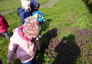 Dzieci oglądaja kwiaty